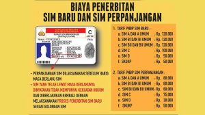 Biaya Penerbitan SIM Baru dan Perpanjangan SIM