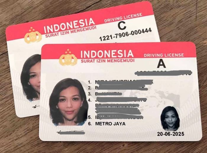 Proses integrasi data SIM nasional