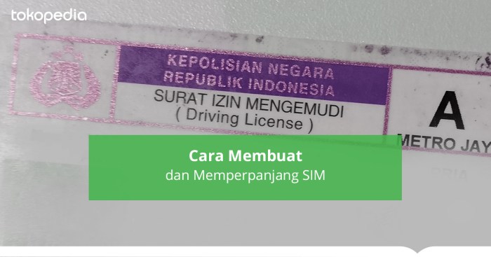 Penjelasan kode khusus di SIM terbaru