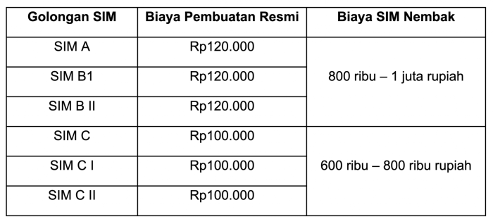 Perbedaan SIM untuk motor dan mobil