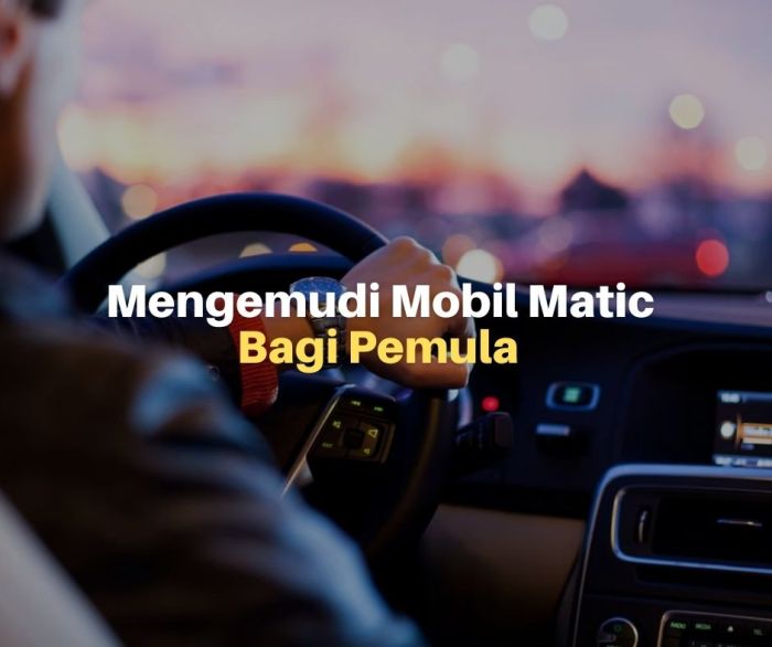 Program kesadaran mengemudi bagi pemula terbaru