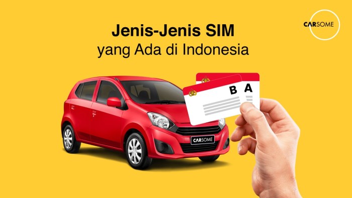 Keuntungan memiliki SIM untuk remaja