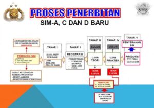 Panduan lengkap pengurusan SIM A