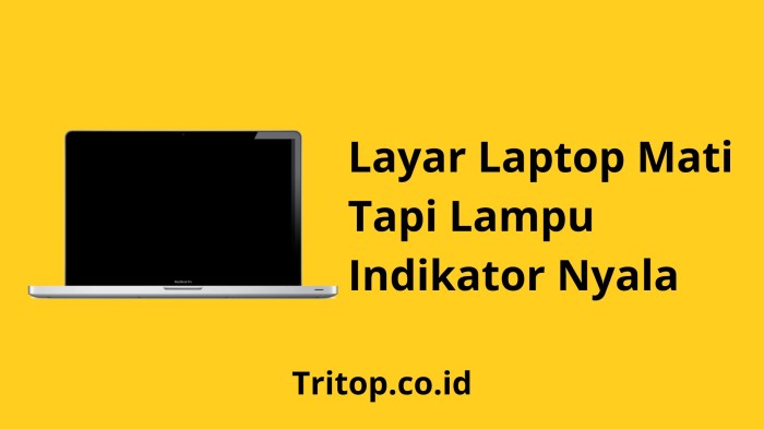 Penyebab laptop nyala tapi layar mati