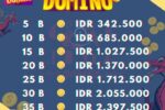 Top up chip ungu higgs domino