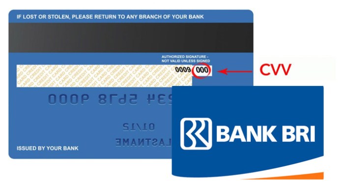 Cara cetak kartu atm bri online