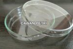 Fungsi cawan petri laboratorium