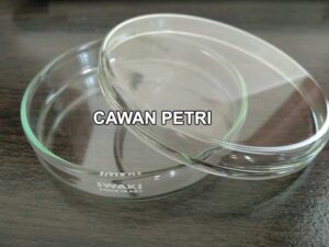 Fungsi cawan petri laboratorium