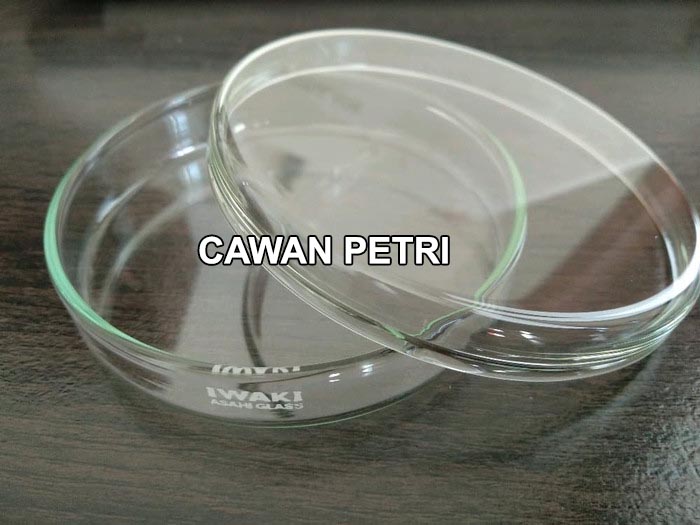 Fungsi cawan petri laboratorium