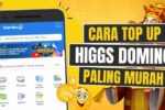 Top up higgs domino dana