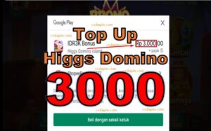 Top up higgs domino 3000 dana