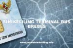 SIM KELILING TERMINAL BUS BREBES